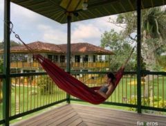 Finca Hotel el Palmar - Finca en Montenegro, Quindío